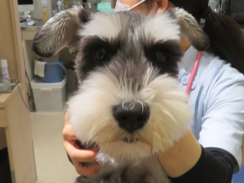 4月 14日の写真_c0174644_12153099.jpg