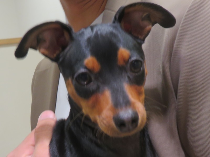 4月 14日の写真_c0174644_12153124.jpg