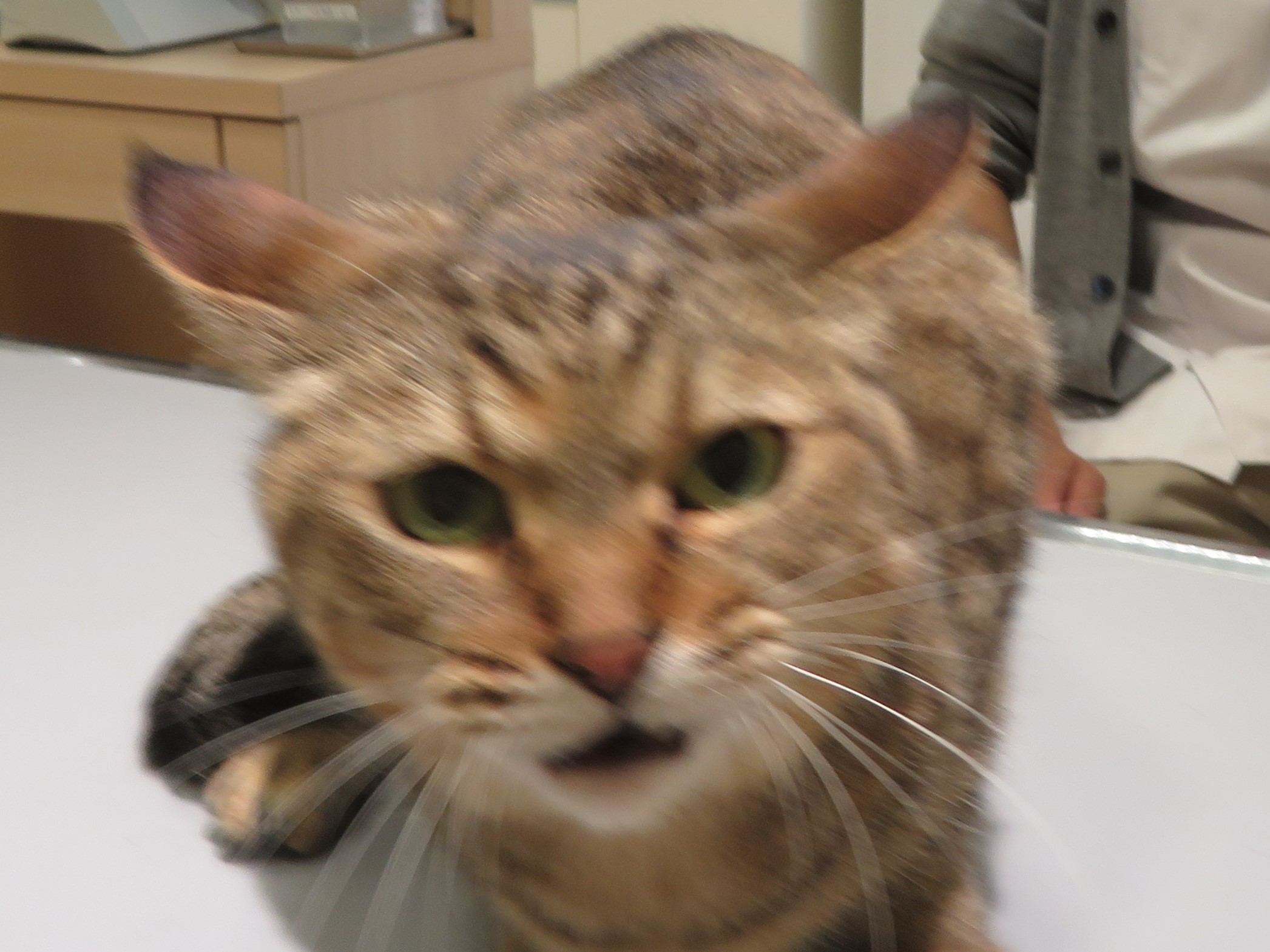 4月 14日の写真_c0174644_14003205.jpg