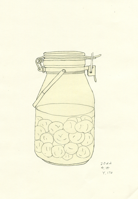 自家製梅酒 イラスト Yukaiの暮らしを愉しむヒント