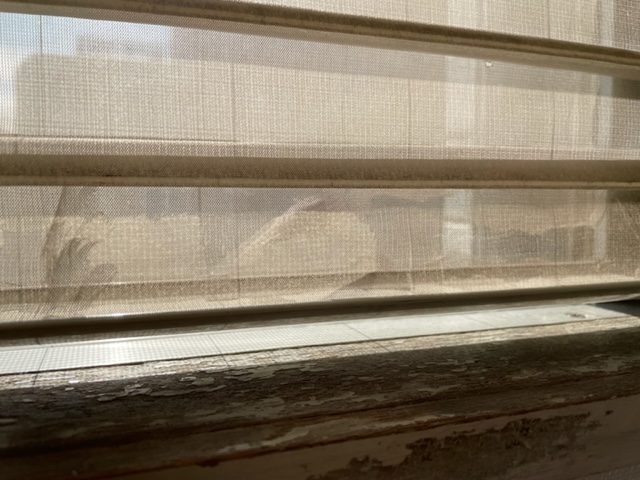 『ハンターダグラス』の『シルエットシェード』のクリーニングを承りました by interior styling of bright_c0157866_20470323.jpg