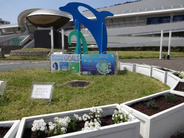 名古屋港水族館前のプランター花壇の植栽R4.4.11_d0338682_08152023.jpg