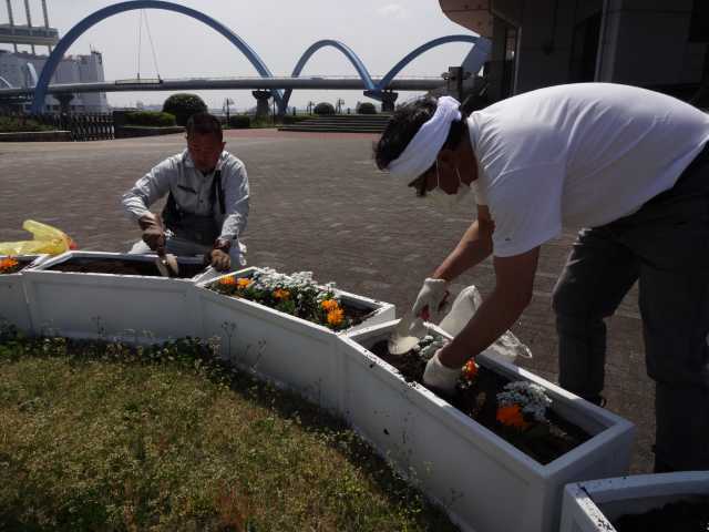 名古屋港水族館前のプランター花壇の植栽R4.4.11_d0338682_08193750.jpg