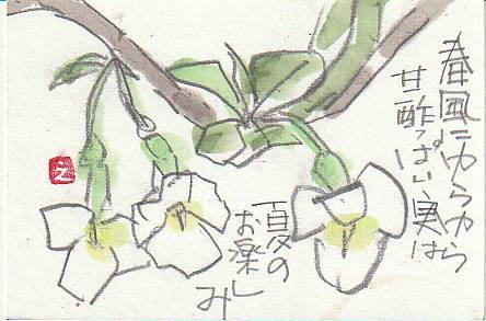 グミの花 日々是絵手紙