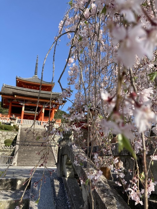 清水寺_e0184696_23040011.jpeg