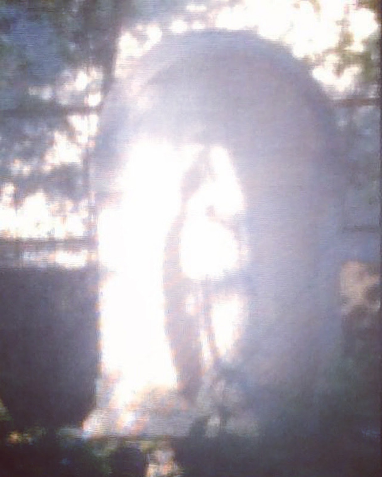 日々の祝福_c0203401_14171572.jpeg