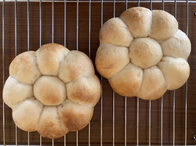 ばあばの定期便と追加注文お食事エプロン_d0348118_15553418.jpeg