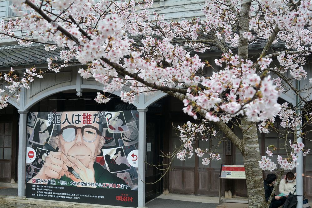2丁目レンガ通りの桜 曇りの場合_e0373930_20272318.jpg
