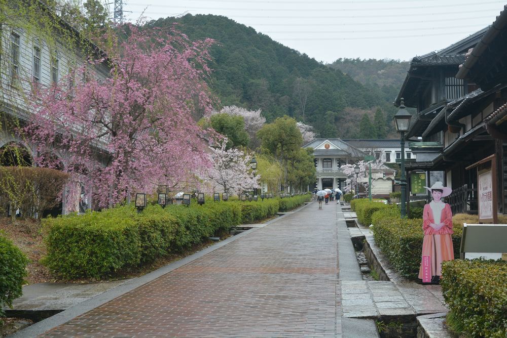 2丁目レンガ通りの桜 曇りの場合_e0373930_20272336.jpg