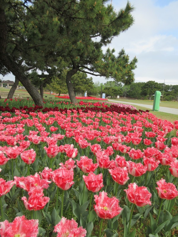 海浜公園②_b0014732_06102996.jpg