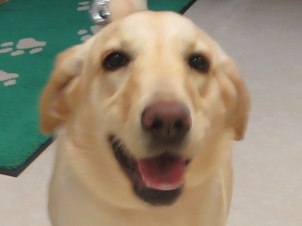4 月 15 日の写真_c0174644_13393680.jpg