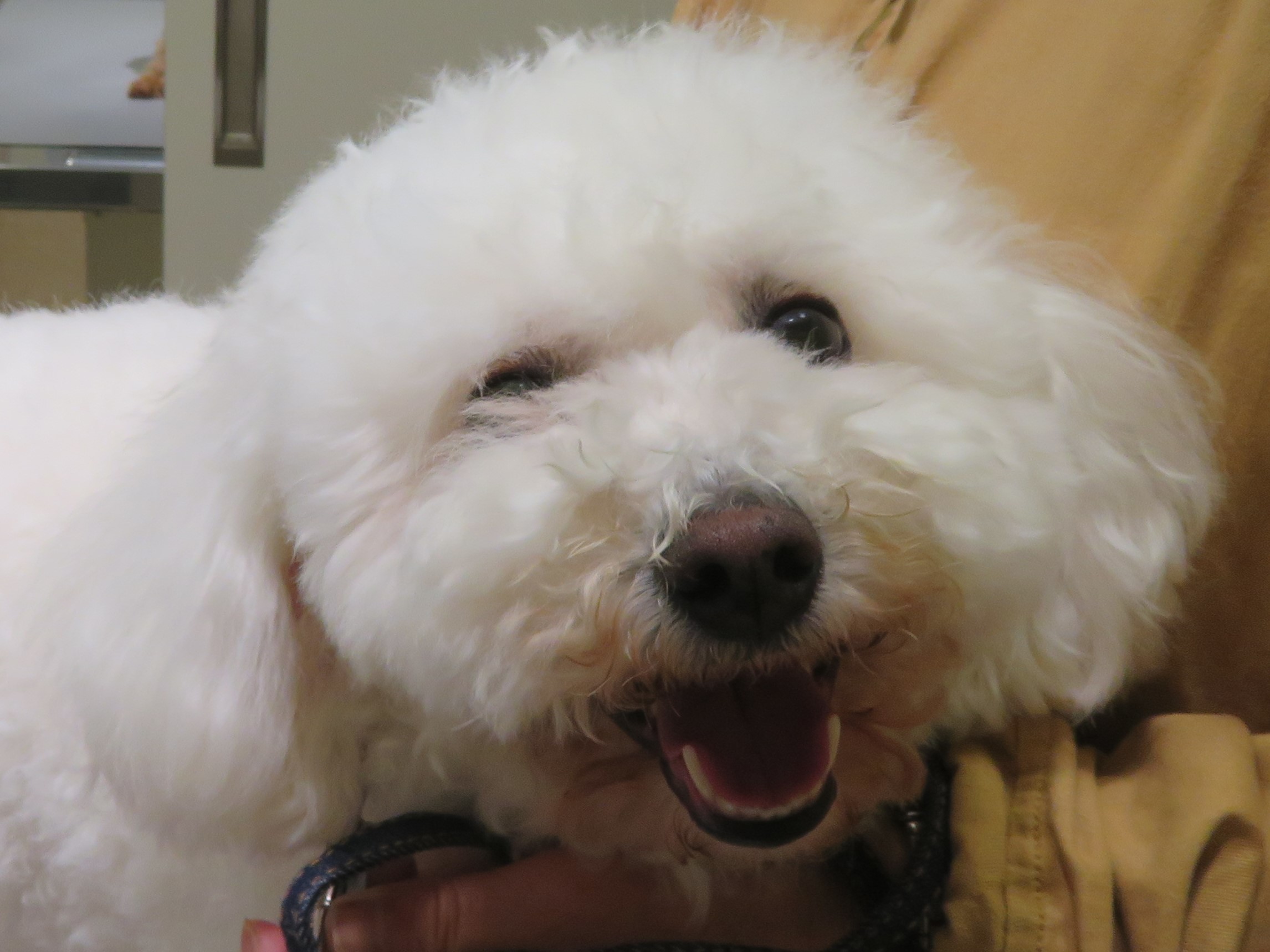 4 月 15 日の写真_c0174644_13393702.jpg