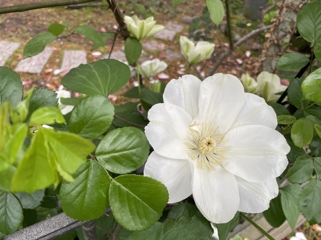 責任。_a0394574_22480809.jpeg