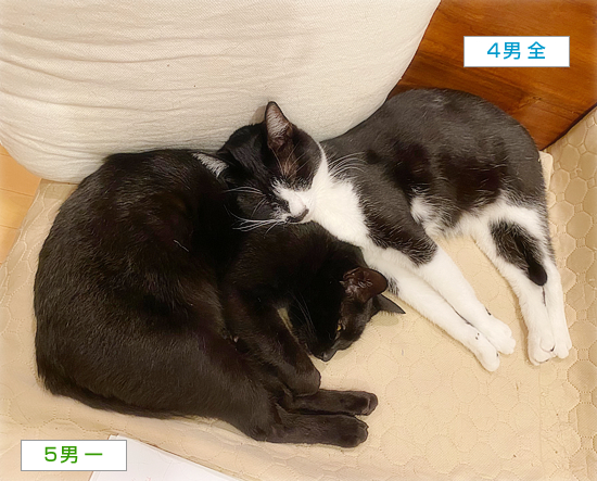 こわい睡眠_a0389088_16233422.jpg