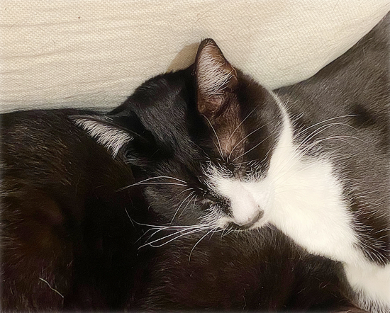 こわい睡眠_a0389088_16233478.jpg