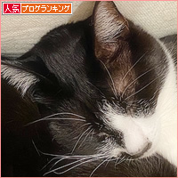 こわい睡眠_a0389088_16233593.jpg