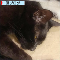 こわい睡眠_a0389088_16233595.jpg