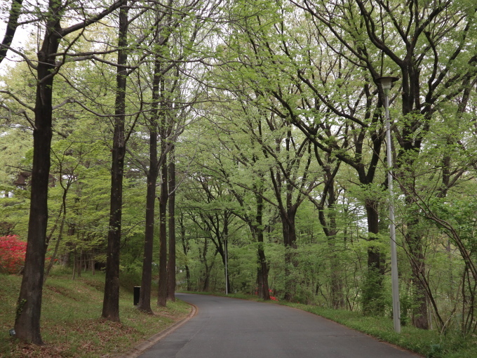 武蔵野丘陵森林公園に行きました♪_b0331802_21461995.jpg