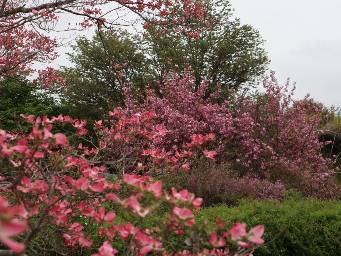 武蔵野丘陵森林公園に行きました♪_b0331802_21495464.jpg