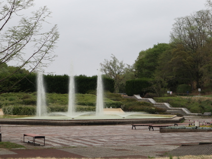 武蔵野丘陵森林公園に行きました♪_b0331802_21585725.jpg