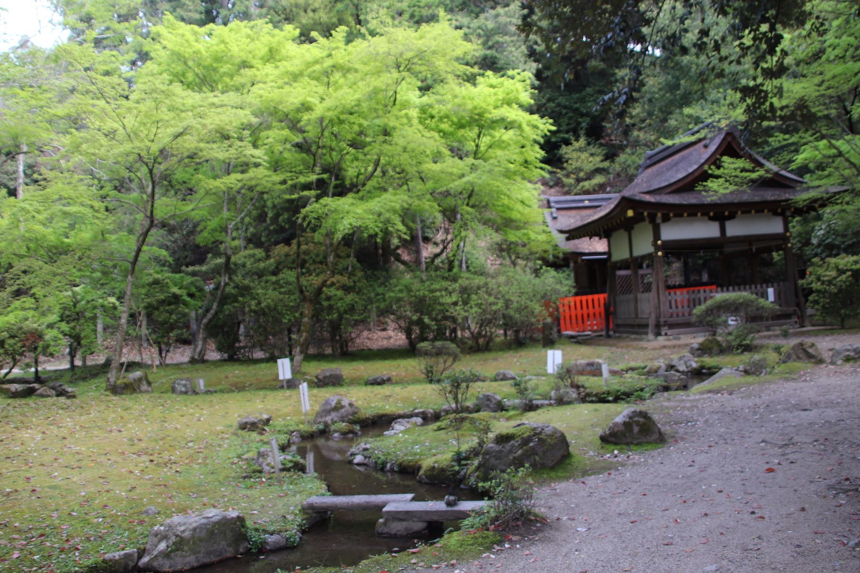 上賀茂神社でも　新緑いっぱい_e0048413_21205512.jpg