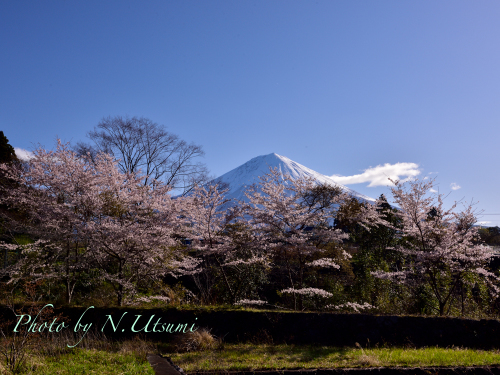 桜旅ー４月５日_d0155021_22060354.jpg