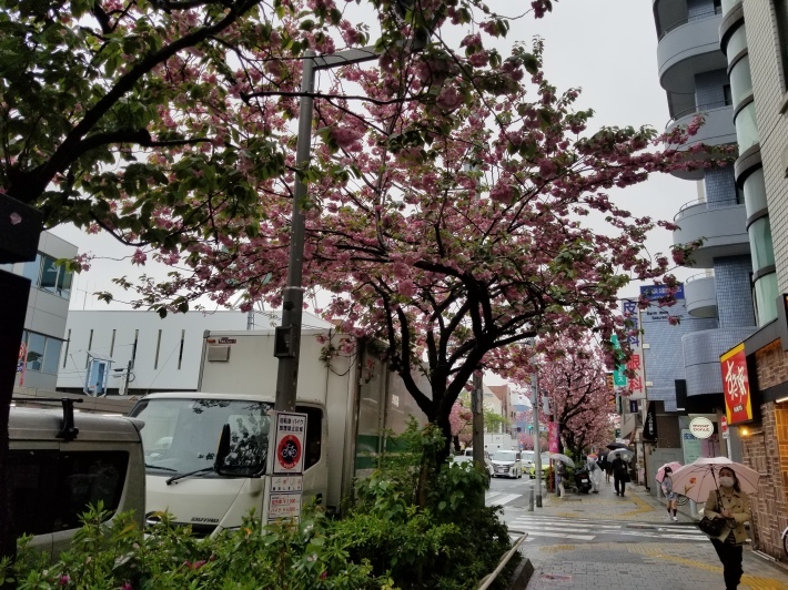 傘寿の同期会_e0016828_12271559.jpg