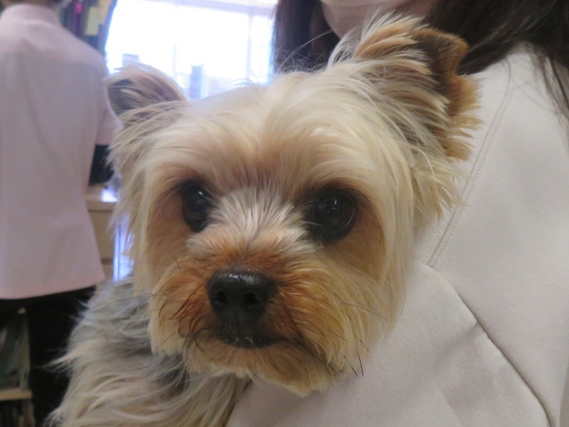 4月 16日の写真_c0174644_13511807.jpg