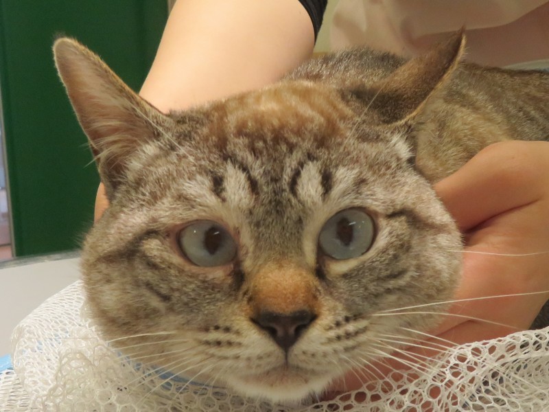 4月 16日の写真_c0174644_13511881.jpg