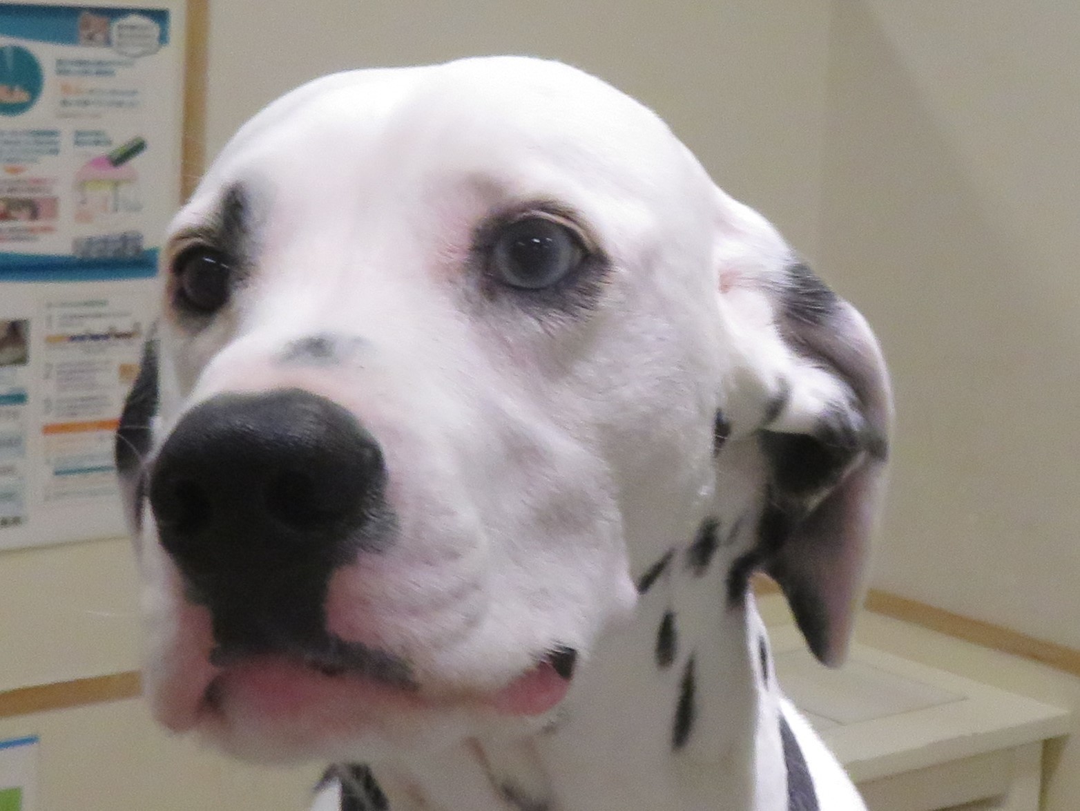 4月 16日の写真_c0174644_20232415.jpg