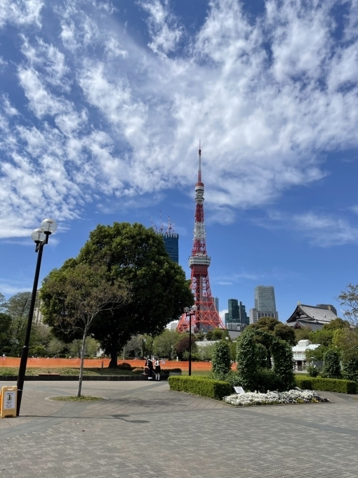 清々しい東京タワー　　芝公園　　　ルパンコルディアン　　　麻布十番たじま　　沢村のパン_f0151561_17103265.jpg