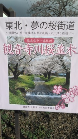 4月16日「観音寺川の桜」_c0160368_17470367.jpg