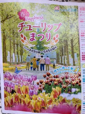 桜の次はチューリップを見に行きたい_f0009169_17215011.jpg