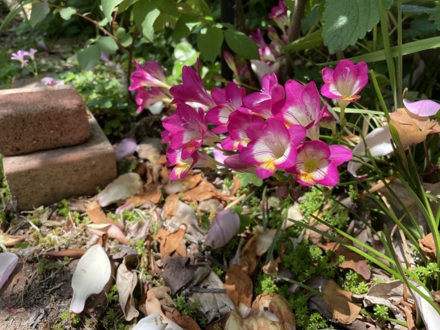 今を大切に。_a0394574_13122048.jpeg