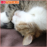 でっかいから、でかお。ちっちゃいから・・・_a0389088_18125413.jpg
