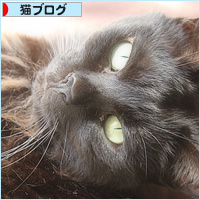 でっかいから、でかお。ちっちゃいから・・・_a0389088_18125441.jpg