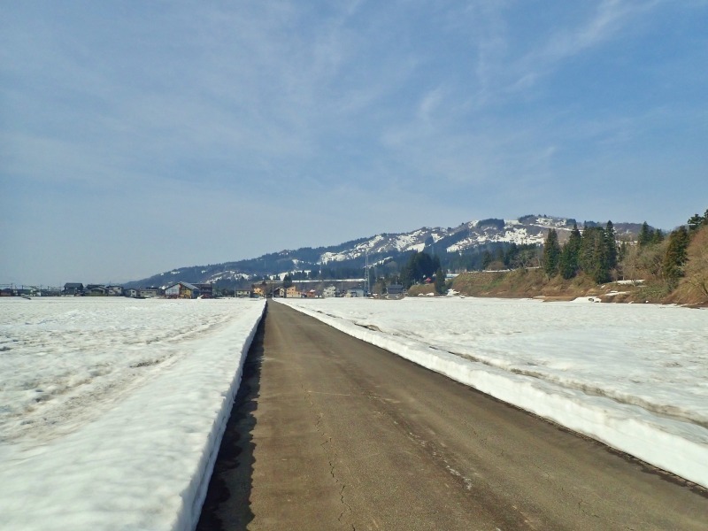 周辺の消雪日は・・・何時かな_c0336902_17281715.jpg