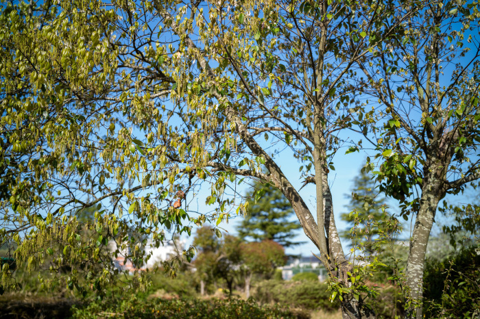 南公園　Apo-Summicron-M 35mm_d0192712_17150891.jpg