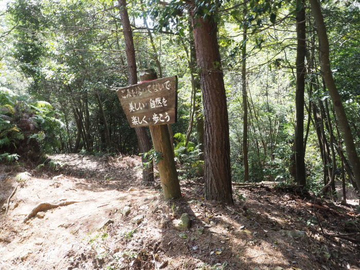 三本木山・藤ヶ丸山・立石山登山（周回）_c0116915_00025290.jpg