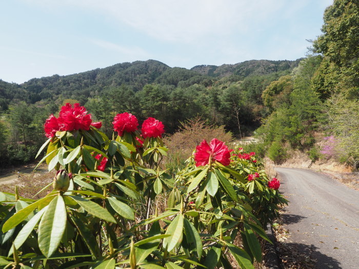三本木山・藤ヶ丸山・立石山登山(周回)_c0116915_00035608.jpg