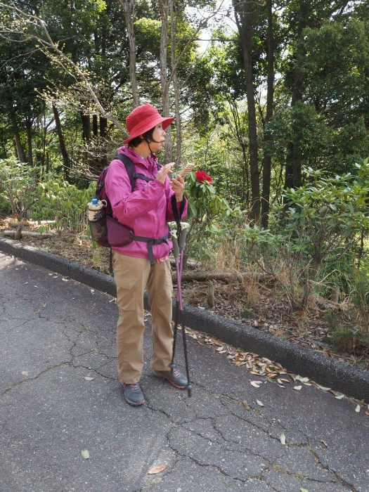 三本木山・藤ヶ丸山・立石山登山(周回)_c0116915_00044767.jpg