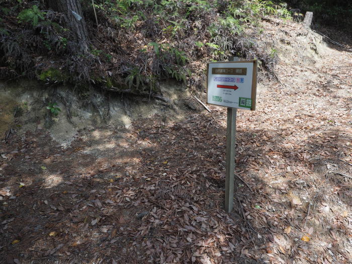 三本木山・藤ヶ丸山・立石山登山(周回)_c0116915_00075171.jpg