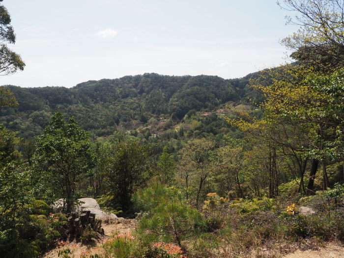 三本木山・藤ヶ丸山・立石山登山（周回）_c0116915_00133759.jpg