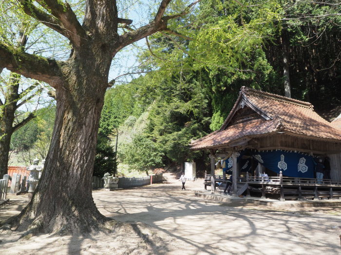 客人神社の種祭り_c0116915_23561531.jpg