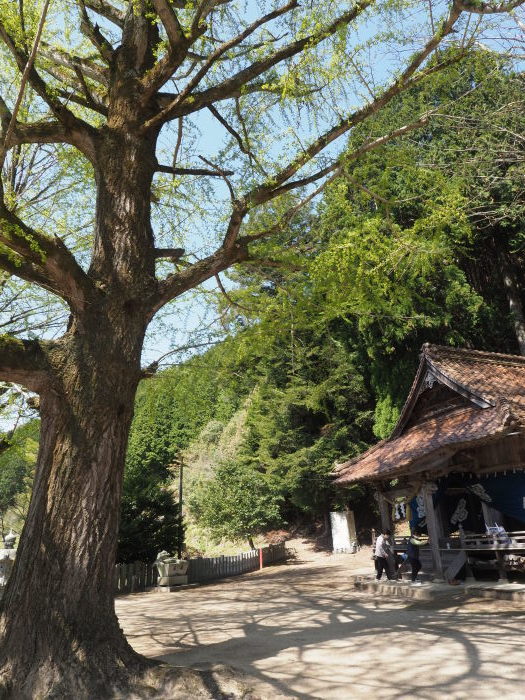 客人神社の種祭り_c0116915_23563149.jpg