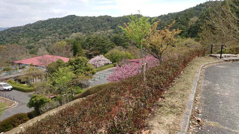 太陽系は約46億年前、銀河系（天の川銀河）の中心から約26,000光年離れた、オリオン腕の中に位置。_b0416436_04524031.jpg