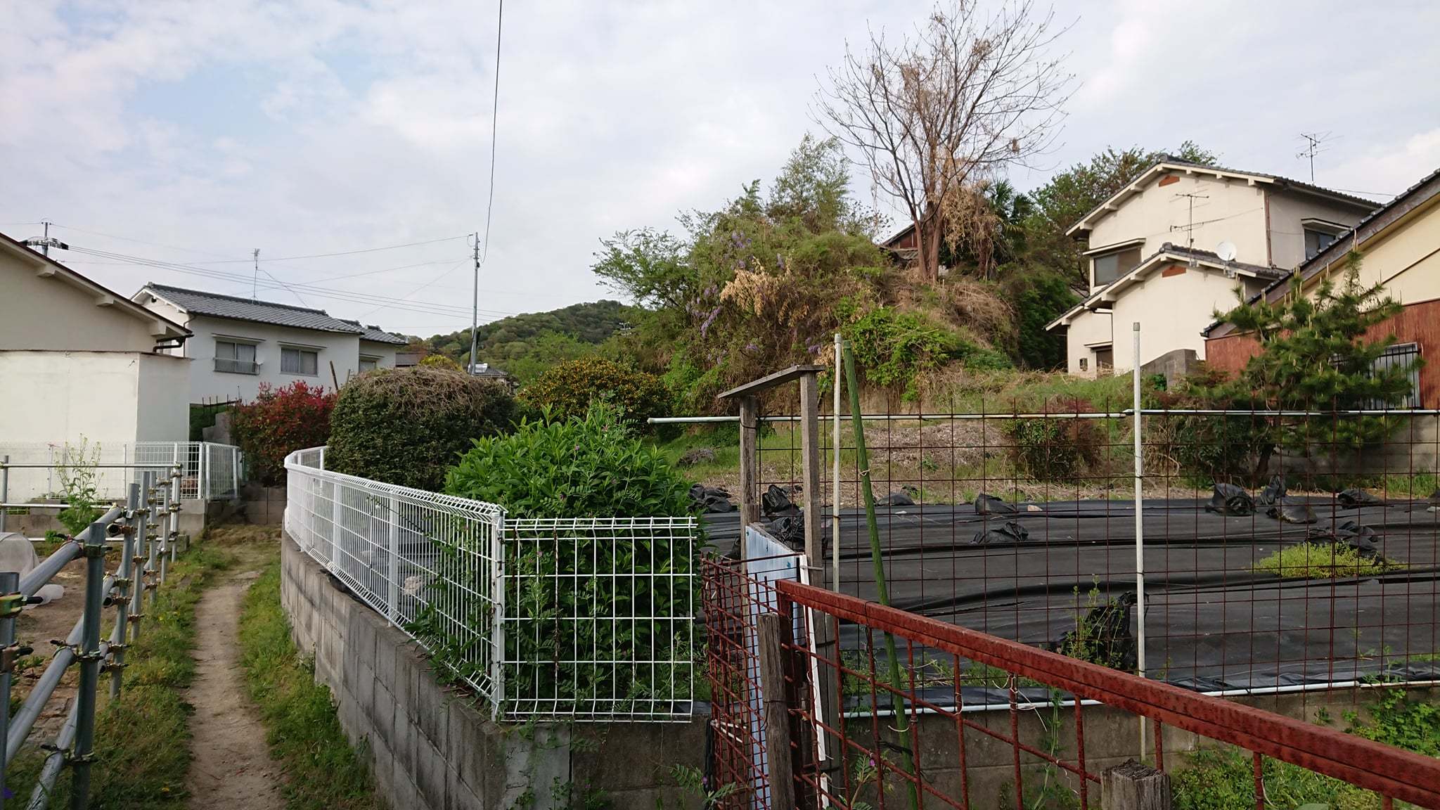 太陽系は約46億年前、銀河系（天の川銀河）の中心から約26,000光年離れた、オリオン腕の中に位置。_b0416436_04524044.jpg