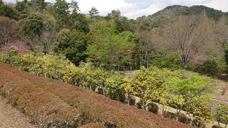 太陽系は約46億年前、銀河系（天の川銀河）の中心から約26,000光年離れた、オリオン腕の中に位置。_b0416436_04524190.jpg