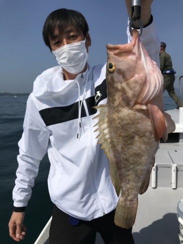 アコウ　釣果_b0185158_21030044.jpeg