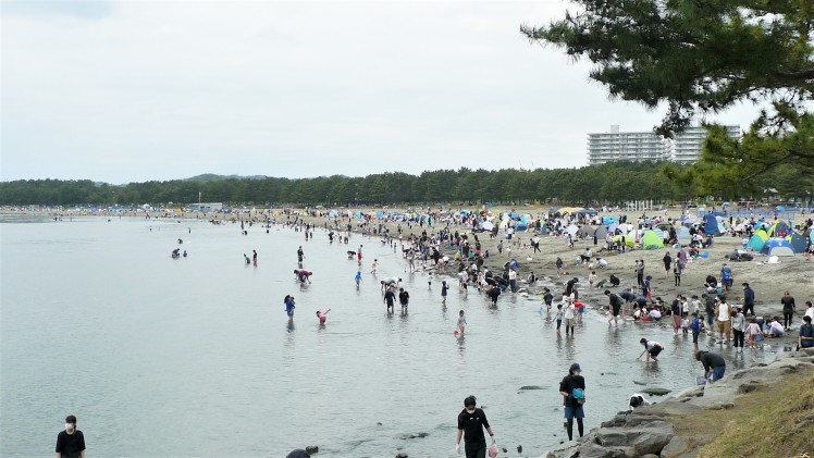 6 24 横浜海の公園潮干狩りの様子 三百六十五連休